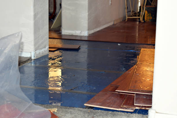 Professional Sewage Cleanup technician working in Leicester, NC